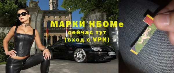 прущие грибы Абдулино