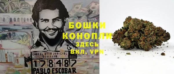 трава Весьегонск