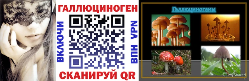Псилоцибиновые грибы мухоморы  Моршанск 