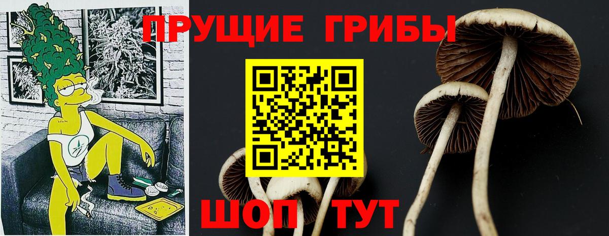 Галлюциногенные грибы Cubensis  Вход с VPN  купить   Моршанск 
